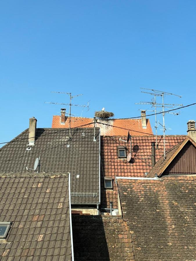 Sous Les Toits Avec Garage Et Terrasse A Ribeauville Buitenkant foto
